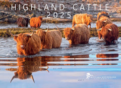 Michael MacGregor 2025 Highland Cattle Wall Calendar