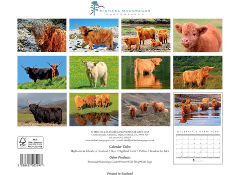 Michael MacGregor 2025 Highland Cattle Wall Calendar