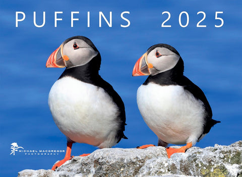 Michael MacGregor 2025 Puffins Calendar